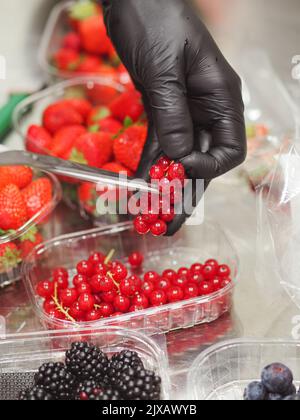 Chef coupant des baies en cuisine, porte des gants noirs pour l'hygiène Banque D'Images