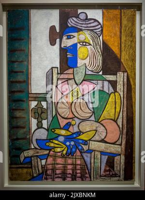 Peinture "femme assise sur un fauteuil", Musée Picasso, une galerie d'art située à l'Hôtel Salé, rue de Thorigny, dans le quartier du Marais Banque D'Images