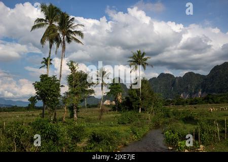 Vang Vieng est une ville touristique au Laos dans la province de Vientiane à environ quatre heures de bus au nord de la capitale nationale Vientiane. La ville se trouve sur la rivière Nam Song. La caractéristique la plus notable de la région est la topographie karstique qui entoure la ville. Laos. Banque D'Images