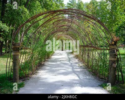 Produits tressés au saule américain. De beaux produits en osier directement de la capitale de l'industrie polonaise de l'osier, Nowy Tomysl, Pologne, Europe. Banque D'Images