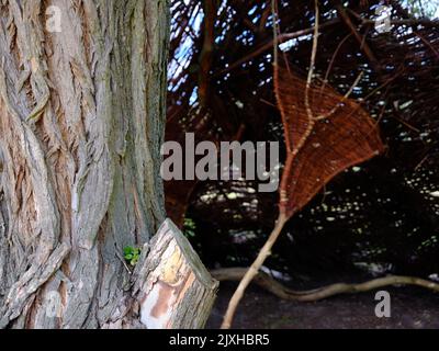 Produits tressés au saule américain. De beaux produits en osier directement de la capitale de l'industrie polonaise de l'osier, Nowy Tomysl, Pologne, Europe. Banque D'Images