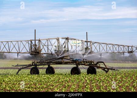 Briggs système d'irrigation automoteur Banque D'Images