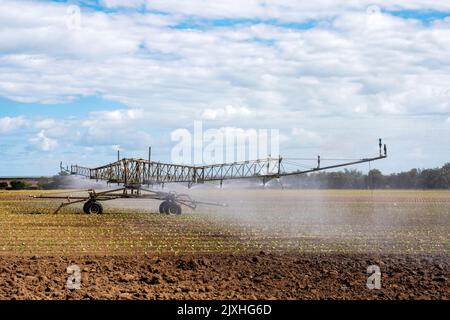 Briggs système d'irrigation automoteur Banque D'Images