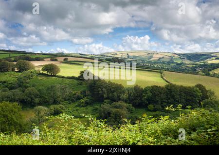 Vue sur la vallée de Heddon depuis la pente sud de Heale jusqu'à Challacombe Common Beyond, parc national d'Exmoor, North Devon, Angleterre. Banque D'Images