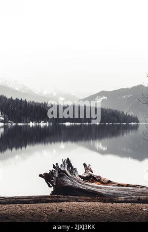 Une photo verticale depuis la rive du lac Wenatchee dans l'État de Washington, par un jour sombre et nuageux Banque D'Images