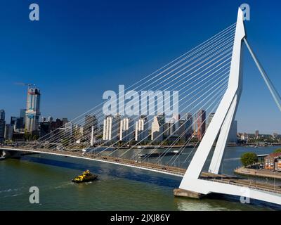 Nommé d'après le grand philosophe et humaniste hollandais de la  renaissance, le magnifique nouveau pont suspendu de Rotterdam ajoute  considérablement à la ville Photo Stock - Alamy