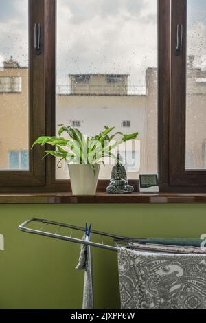 Capteur de température et d'humidité numérique avec sèche-linge et usine sur le balcon par temps de pluie Banque D'Images