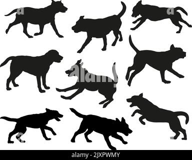 Groupe de récupérateurs du labrador dans diverses poses. Silhouette de chien. Chiens de course, debout, enigrants, sautant. Isolé sur un fond blanc. Animaux de compagnie. Illustration de Vecteur