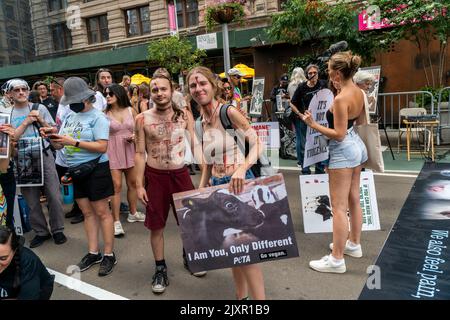 Les défenseurs des droits des animaux, des activistes anti-calèche aux végétaliens, et tout le monde entre les deux, se réunissent à Flatiron Plaza à New york pour la Marche des droits des animaux samedi, 27 août 2021. (© Richard B. Levine) Banque D'Images