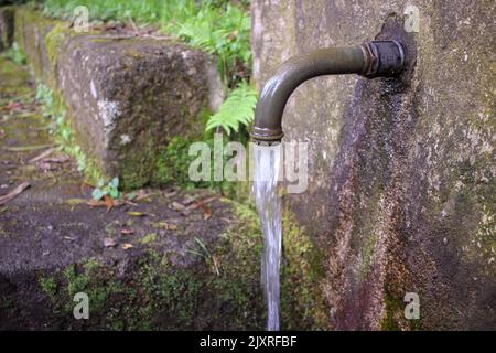 eau sortant d'un robinet dans les bois Banque D'Images