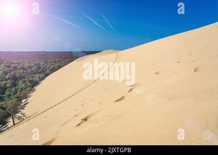 Vue sur la forêt de la dune de Pyla, située dans la baie d'Arcachon en Aquitaine. Photo de haute qualité Banque D'Images