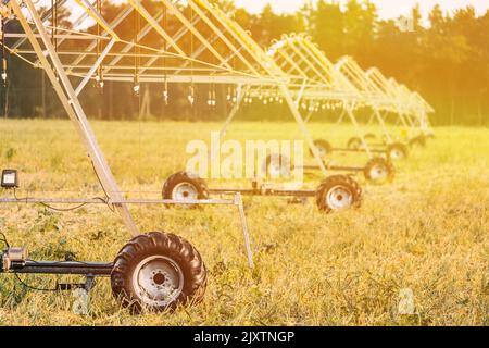 Machine d'irrigation au champ agricole avec jeunes pousses, plantes vertes sur sol noir. Pivot d'irrigation. Arroseurs agricoles dans l'irrigation des champs et Banque D'Images