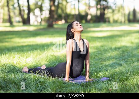 Jeune femme enceinte dans les sports noirs combinaison pratiquant le yoga faisant Urdhva Mukha Svanasana exercice, face vers le haut posture de chien, s'exerçant sur un tapis dans un Banque D'Images