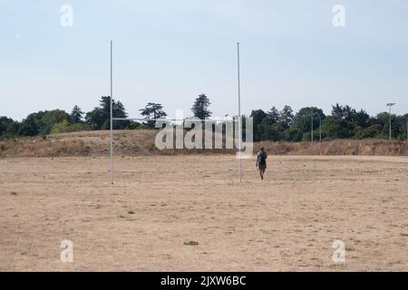 Braywick, Maidenhead, Berkshire, Royaume-Uni. 14th août 2022. Une femme traverse l'herbe coupée sur les terrains de rugby du terrain de Braywick Sports à Maidenhead alors que la vague de chaleur et la sécheresse en cours font des ravages. Crédit : Maureen McLean/Alay Banque D'Images