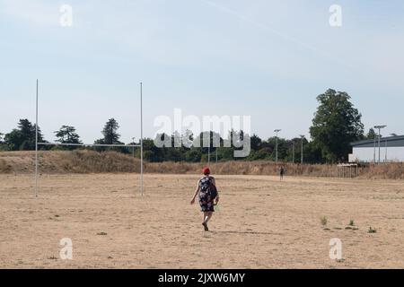 Braywick, Maidenhead, Berkshire, Royaume-Uni. 14th août 2022. Une femme traverse l'herbe coupée sur les terrains de rugby du terrain de Braywick Sports à Maidenhead alors que la vague de chaleur et la sécheresse en cours font des ravages. Crédit : Maureen McLean/Alay Banque D'Images