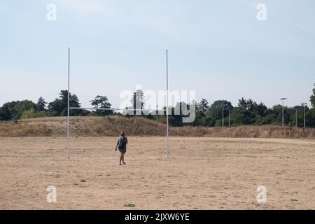 Braywick, Maidenhead, Berkshire, Royaume-Uni. 14th août 2022. Une femme traverse l'herbe coupée sur les terrains de rugby du terrain de Braywick Sports à Maidenhead alors que la vague de chaleur et la sécheresse en cours font des ravages. Crédit : Maureen McLean/Alay Banque D'Images