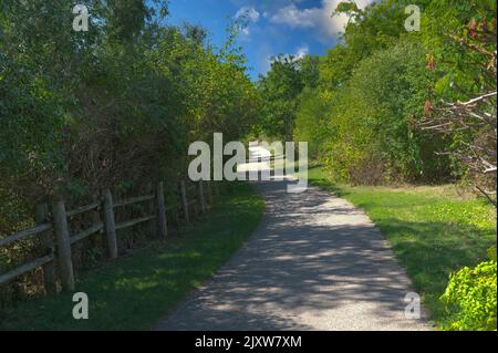 Longue route le long du parc, séparée par une clôture de poteaux ronds en bois Banque D'Images