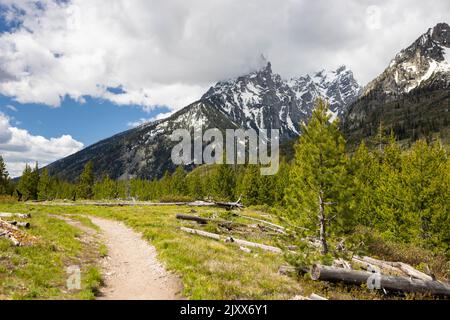 La Jenny Lake Loop Trail serpentant à travers une jeune forêt sous les montagnes Teton. Parc national de Grand Teton, Wyoming Banque D'Images