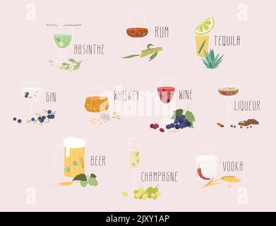 Icônes ensemble de différents types d'alcool dans différents verres avec composants. Collection de verrerie avec illustration vectorielle plate. Illustration de Vecteur