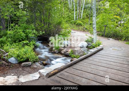 Une passerelle le long de la piste du lac Taggart qui traverse une petite crique comme un panneau à l'extrémité opposée indique les randonneurs dans la bonne direction. Grand Teton Natio Banque D'Images