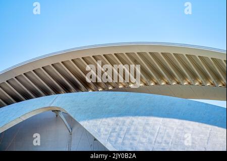 La ville des arts et des sciences. Le toit architectural du Palau des Arts Reina Sofía. Le célèbre lieu a été conçu par Santiago Calatrava Banque D'Images