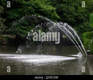 L'eau a été vue jgerant d'une caractéristique de l'eau dans un grand étang entouré d'arbres à feuilles vertes. Banque D'Images