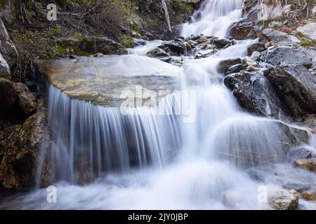 Une petite crique qui coule au-dessus de cascades rocheuses dans Paintbrush Canyon. Parc national de Grand Teton, Wyoming Banque D'Images