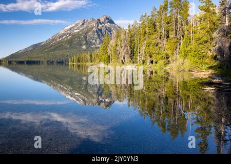 Les eaux calmes du lac Leigh le matin, reflétant les montagnes Teton. Parc national de Grand Teton, Wyoming Banque D'Images
