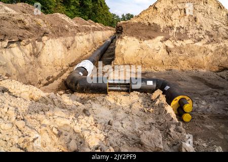 Pose de conduites de chauffage urbain, à côté d'un champ, avec du maïs, le chauffage urbain provient d'une usine de biogaz et est directement acheminé aux ménages en t. Banque D'Images