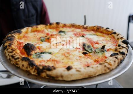 Une margherita au feu de bois au Bella Brutta, pizzeria moderne de Newtown, Sydney — Nouvelle-Galles du Sud, Australie Banque D'Images