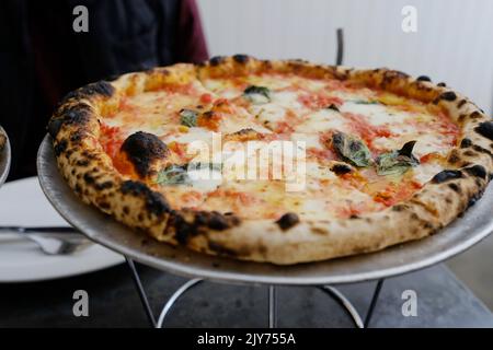 Une margherita au feu de bois au Bella Brutta, pizzeria moderne de Newtown, Sydney — Nouvelle-Galles du Sud, Australie Banque D'Images