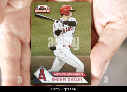 Los Angeles Angels two-way player Shohei Ohtani's Asics baseball equipment  is pictured in Tokyo on Dec. 17, 2021. (Kyodo)==Kyodo Photo via Credit:  Newscom/Alamy Live News Stock Photo - Alamy