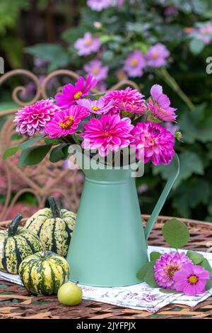 bouquet de fleurs de pinj dahlias, de zinnies et de cosmos en carafe d'époque Banque D'Images