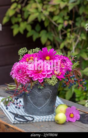 bouquet de fleurs de dahlias roses, de zinnies et de cosmos en pot de zinc dans le jardin Banque D'Images