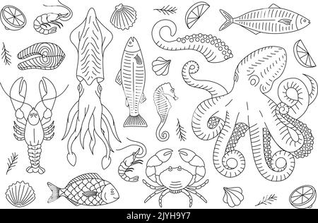 Ensemble de croquis de contour des fruits de mer. Bannière de la ligne d'animaux marins. Illustration du menu de repas de fruits de mer. Poissons, homard, calmar, pieuvre, crabe, filet de poisson. Illustration de Vecteur