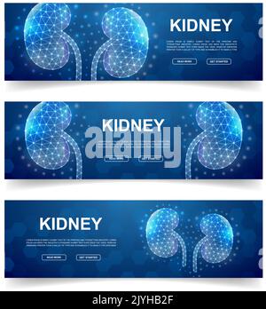 Jeu de trois bannières horizontales reins. Illustration horizontale pour le design de la page d'accueil et la bannière promotionnelle. Symboles poly urinaires bas avec points connectés Illustration de Vecteur