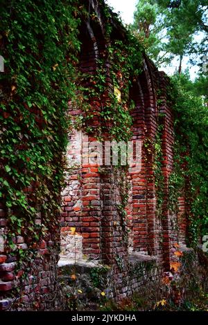 Un mur de briques rouges d'une ruine Banque D'Images