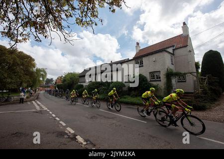 Cropwell Butler, Nottinghamshire, Royaume-Uni. 8th septembre 2022. Le peloton passe à travers Cropwell Butler, dans le Nottinghamshire, sur la cinquième étape de l'AJ Bell Tour of Britain. Neil Squires/Alamy Live News Banque D'Images