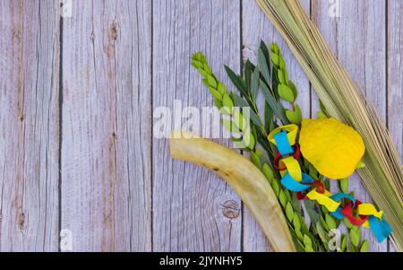 Il s'agit d'un festival religieux de tabernacles aux agrumes rituels à l'etrog, symbole de la fête juive de Sukkot Banque D'Images