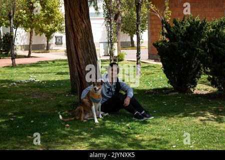 La Paz, Bolivie - 28 août 2022: Femme péruvienne assise sur l'herbe, embrassant un chien mongrel brun et blanc et entouré de beaucoup de nature Banque D'Images