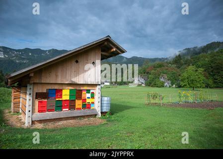 Culture apicole moderne : une maison d'abeilles colorée slovène Banque D'Images