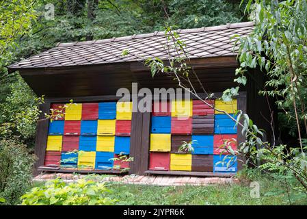 Culture apicole moderne : une maison d'abeilles colorée slovène Banque D'Images