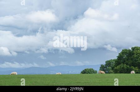 Abergavenny, Monbucshire, 8 septembre 2022 MÉTÉO: Le temps d'aujourd'hui a vu à la fois des averses et de fortes pluies, à côté de périodes de vent de broussterie, et le soleil se brisant à travers les nuages lourds. Crédit : Bridget Catterall/Alamy Live News Banque D'Images