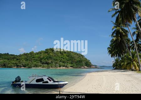 Indonesia Arambas Islands - plage idyllique avec d'énormes palmiers Banque D'Images