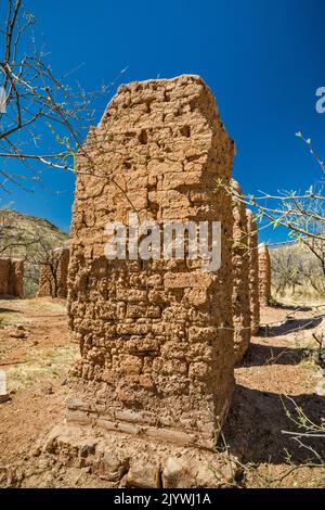 Adobe ruines à Alto Camp, Bond Canyon, Salero Road (Forest Road 143), Santa Rita Mountains, Coronado National Forest, Arizona, États-Unis Banque D'Images