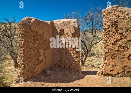 Adobe ruines à Alto Camp, Bond Canyon, Salero Road (Forest Road 143), Santa Rita Mountains, Coronado National Forest, Arizona, États-Unis Banque D'Images