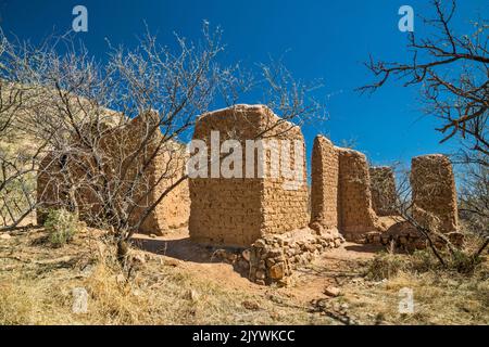 Adobe ruines à Alto Camp, Bond Canyon, Salero Road (Forest Road 143), Santa Rita Mountains, Coronado National Forest, Arizona, États-Unis Banque D'Images