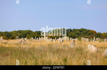 Menhirs près de Carnac en Bretagne Bretagne Banque D'Images