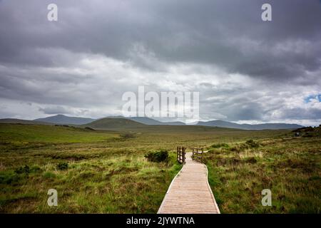 Promenade dans le vaste paysage vert du parc national Wild Nephin au centre d'accueil de Ballycroy, en Irlande. Banque D'Images