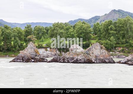 Une rivière de montagne à écoulement rapide, large et pleine. De grandes pierres sortent de l'eau. Grande rivière de montagne Katun, couleur turquoise, dans le mont Altai Banque D'Images